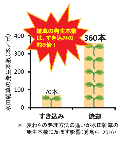 水田雑草の発生本数