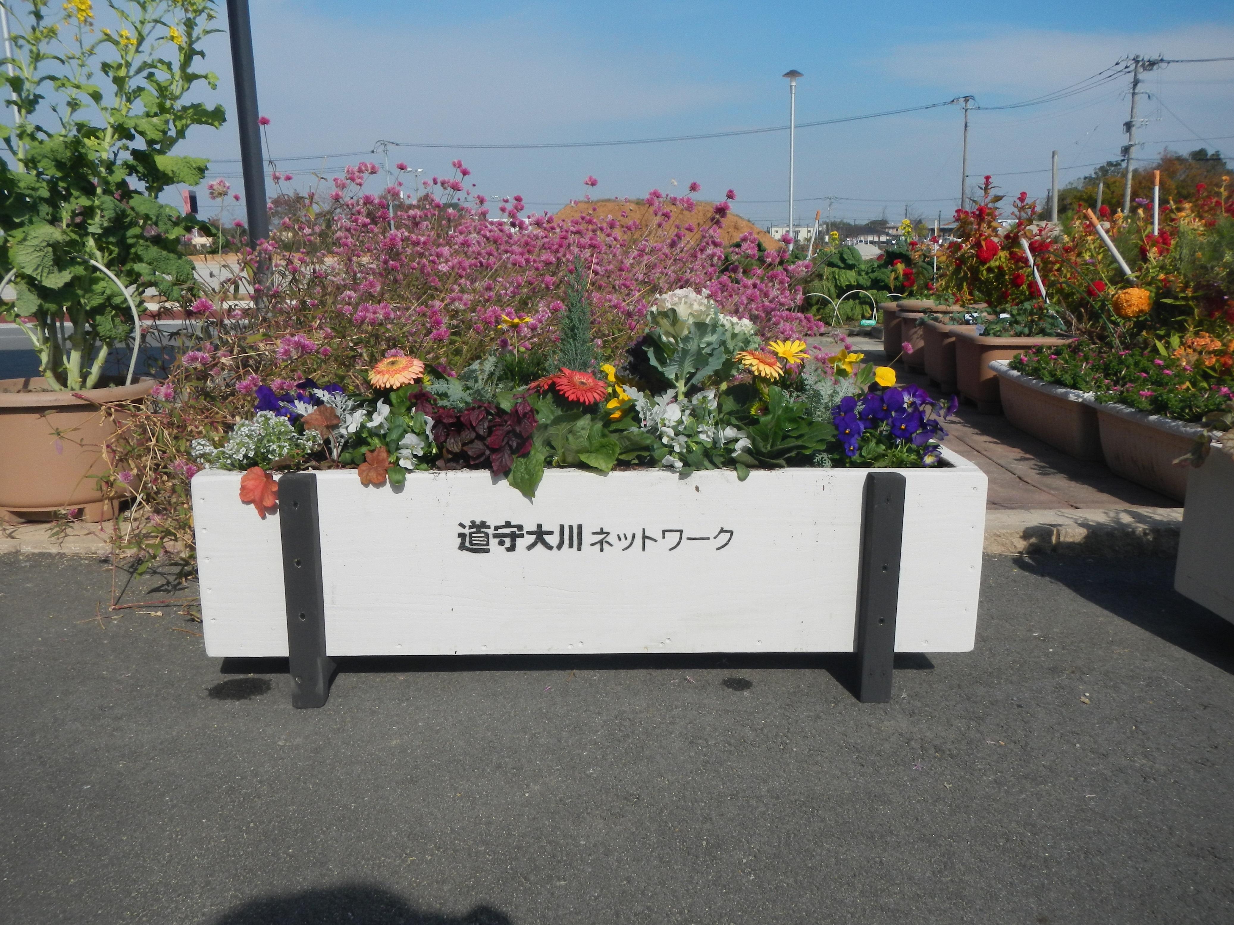 フラワーR4.JPG